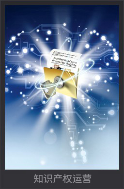 知識產(chǎn)權(quán)運(yùn)營